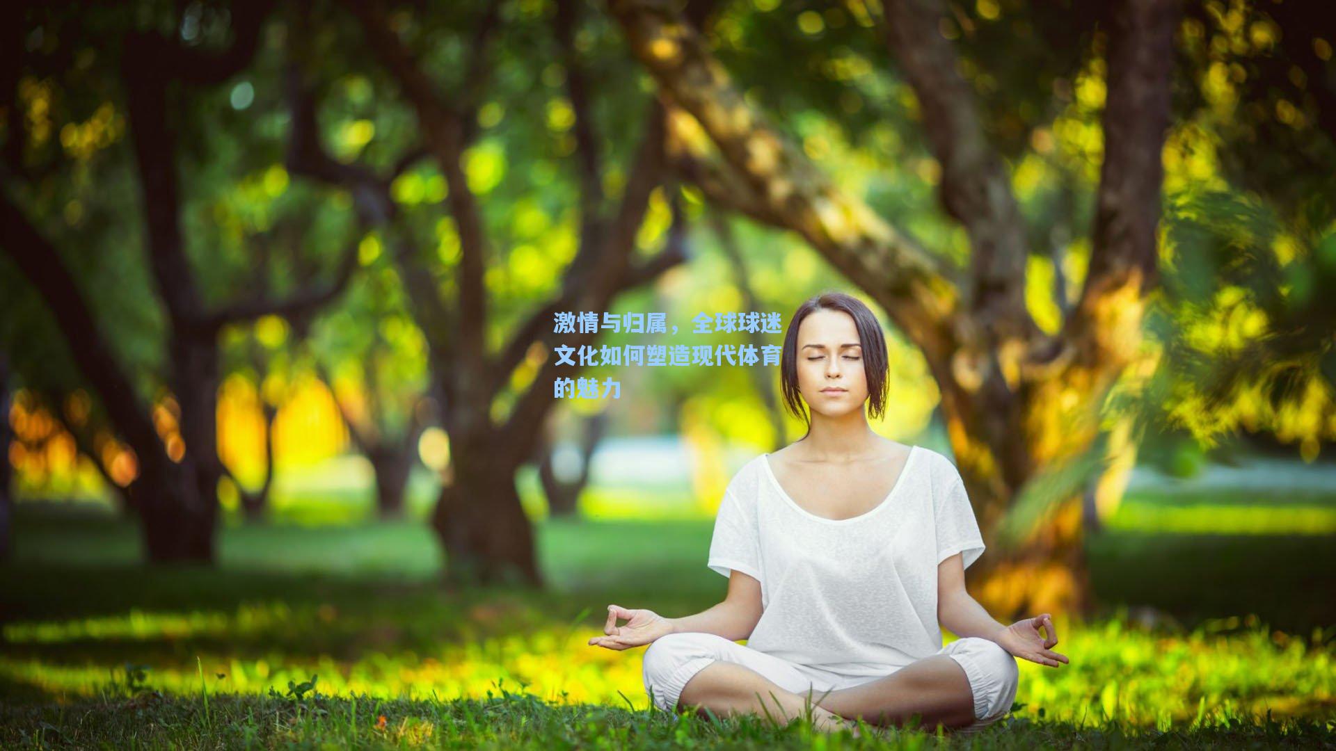 激情与归属，全球球迷文化如何塑造现代体育的魅力