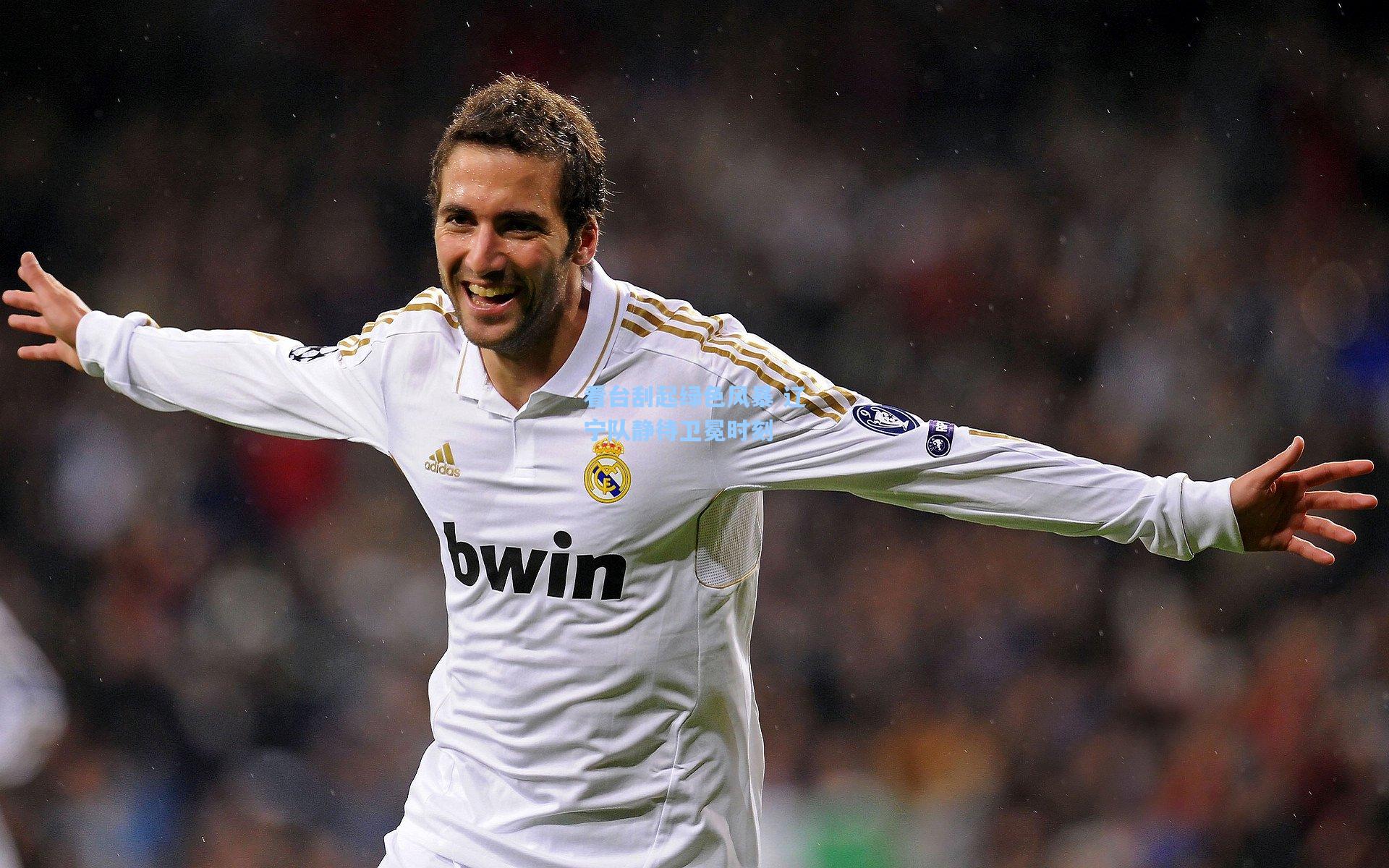 看台刮起绿色风暴 辽宁队静待卫冕时刻